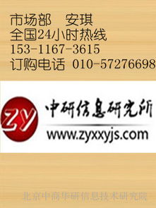 中國安全生產(chǎn)中介服務(wù)行業(yè)現(xiàn)狀調(diào)查及十三五規(guī)劃研究報告（2017-2022年）
